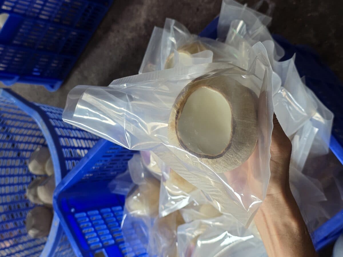 Dừa Xiêm — Lẻ — ảnh 1